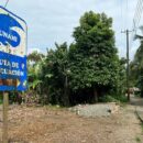 Tsunami alert highlights worth of global early warning system