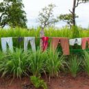 UN urges restraint as Thailand-Cambodia clashes displace thousands; Security Council meets