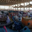 1.3 million Sudanese return home, offering fragile hope for recovery