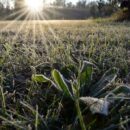 Chile and Argentina among coldest places on Earth as polar anticyclone grips region