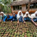 From diamonds to dirt: Sierra Leone youth bring land back to life