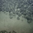 Deep-sea must not turn into ‘Wild West’ of rare minerals exploitation, agency head says