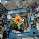 Space is not the final frontier – it is the foundation of our future: UN deputy chief