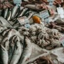 How nuclear technology can help fight seafood fraud