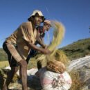 UN agencies warn of rising heat stress risks for workers worldwide