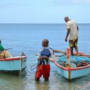 World News in Brief: Hunger in the English- and Dutch-speaking Caribbean, climate and displacement crisis in Somalia, World Breastfeeding Week