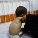 Gaza: ‘No one should ever be forced to risk their life to find food,’ says UN humanitarian agency