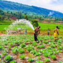 Landlocked but not left behind: UN summit in Turkmenistan wraps with bold new roadmap