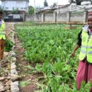 Young people take the lead for a more sustainable future