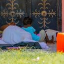 ‘The people of Haiti are in a perfect storm of suffering,’ warns UN chief