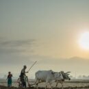 Landlocked nations ‘invisible to much of the world’: UN trade and development chief