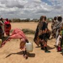 Sudan war: Life-saving cholera vaccination campaign begins in Darfur