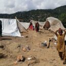 Afghanistan quake: ‘Communities are struggling with basic survival’