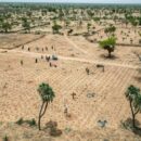 UN, AU and EU leaders pledge joint push for peace and development in Africa