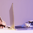 A Human-Centered Framework For AI In L&D, Part 2: Programmatic Enablement