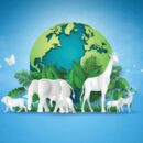 World Animal Day 2025: 4 Ways Companies Can Honor Animals Year-Round