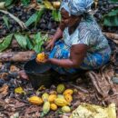 $31 trillion debt is holding back developing countries, UN trade summit hears