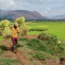 World Food Day LIVE: The task of feeding the world