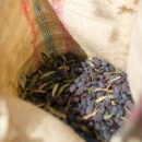 UN rights office sounds alarm over ‘skyrocketing’ Israeli settler violence during olive harvest