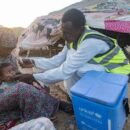 ‘Let's finish the job’ and end polio: WHO