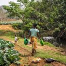 The ‘food heroes’ cultivating global change