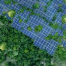 Driving Global Sustainability: How EcoVadis Built An Award-Winning Academy