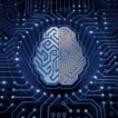 A Simplified Overview Of The Evolution Of AI And Its Role In Education