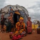 Battlefields to wastelands: UN warns conflicts are destroying ecosystems worldwide