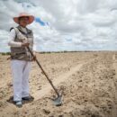FAO warns of ‘silent crisis’ as land degradation threatens billions