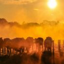 UN chief urges world leaders to drive down global warming