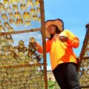 Workers face worsening inequality without urgent reforms, UN agency warns