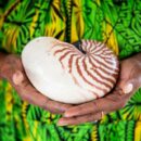 Five climate trailblazers: UNEP’S 2025 Champions of the Earth