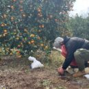 Landmine casualties hit four-year high as treaty setbacks deepen