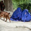 World News in Brief: Landmark disease and mental health declaration, Afghan hunger deepens, DR Congo refugee crisis