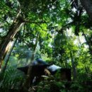 Paper and wood: Forest products show signs of recovery, UN agency says