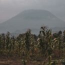 UN hails DR Congo-Rwanda peace deal amid ongoing hostilities in the east