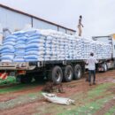 World News in Brief: Food insecurity triples, Mozambique aid boost, Uganda elections alert