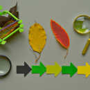 Implementace ekologického vzdělávání do školního kurikula: Jak využít přírodní zdroje k výuce a rozvoji ekologického povědomí u studentů