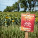 UN agency rolls out three-year plan to safeguard Ukraine’s bread basket