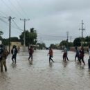Mozambique floods heighten disease, malnutrition risks – UN agencies