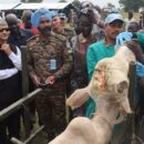 South Sudan: UN and rights experts warn against risk of mass violence in Jonglei