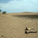 World enters era of ‘global water bankruptcy’