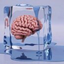 Fight, Flight, Or Freeze? Why Overwhelmed Learners Shut Down