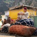 Fears grow for ordinary Afghans after further clashes with Pakistan