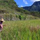 UN forum calls for overhaul of agrifood systems