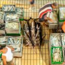 Fresh report warns fish fraud extends to one fifth of global catch