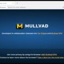 Mullvad Browser's testers now get access to updates every four weeks, also on Linux ARM devices