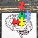 Bloom's Revised Taxonomy Explained For Instructional Designers And Educators