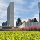 Secretary-General hopefuls make their case in televised ‘interactive dialogues’