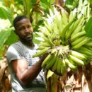 Shockwaves of Middle East war reach Caribbean as food prices soar